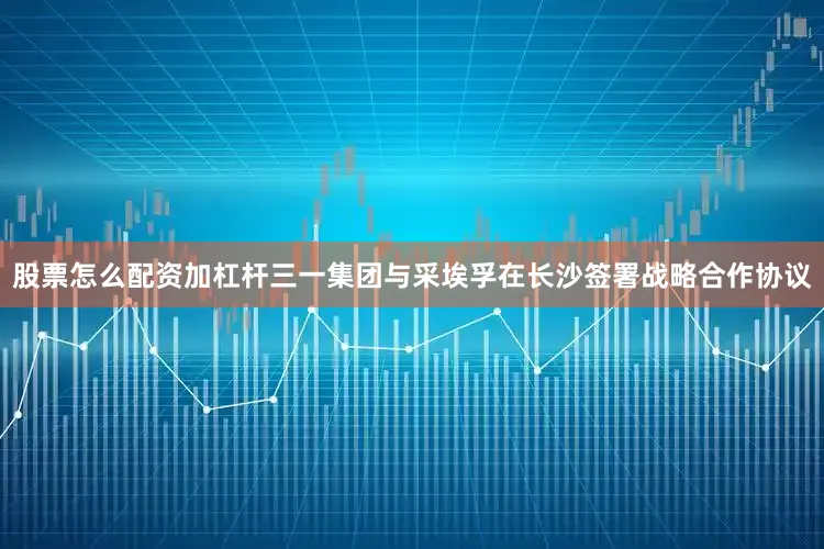 股票怎么配资加杠杆三一集团与采埃孚在长沙签署战略合作协议