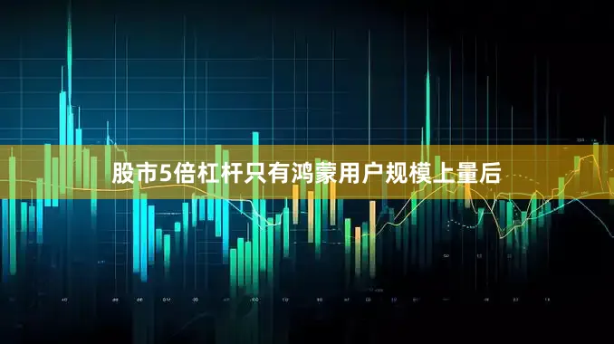 股市5倍杠杆只有鸿蒙用户规模上量后