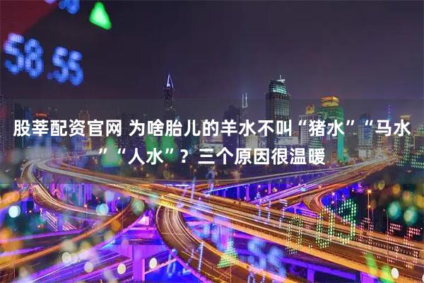股莘配资官网 为啥胎儿的羊水不叫“猪水”“马水”“人水”？三个原因很温暖