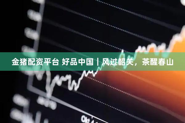 金猪配资平台 好品中国｜风过韶关，茶醒春山