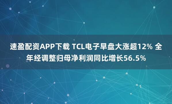 速盈配资APP下载 TCL电子早盘大涨超12% 全年经调整归母净利润同比增长56.5%