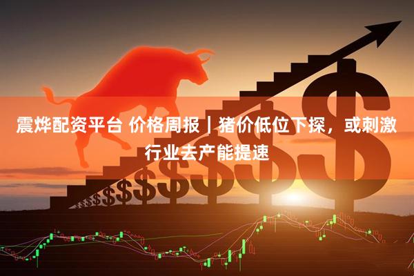 震烨配资平台 价格周报｜猪价低位下探，或刺激行业去产能提速
