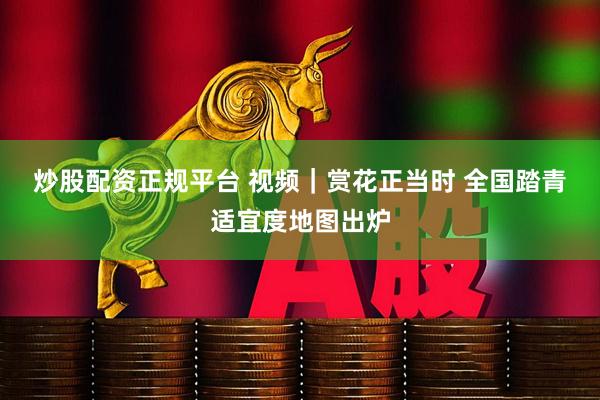 炒股配资正规平台 视频｜赏花正当时 全国踏青适宜度地图出炉